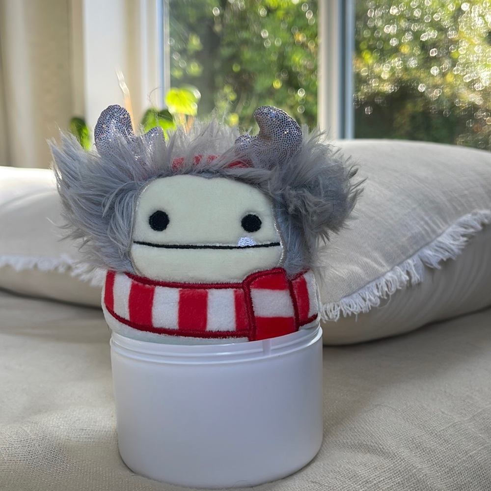 Evita Christmas Capsule